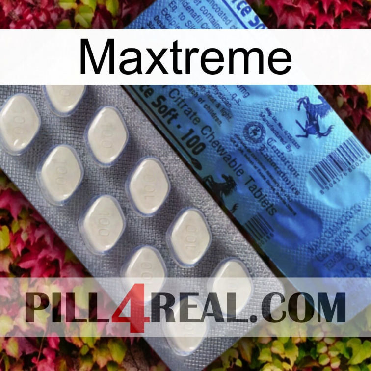 Maxtreme 34